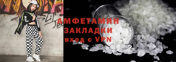 индика Елабуга