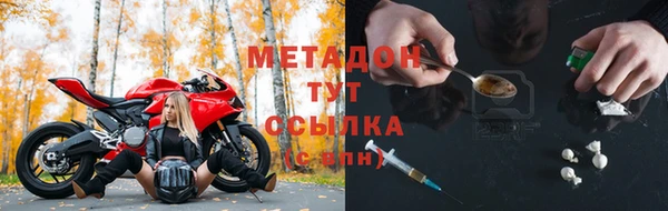 индика Елабуга