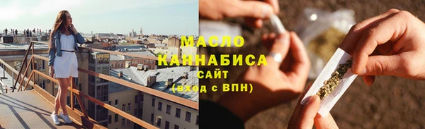 индика Елабуга