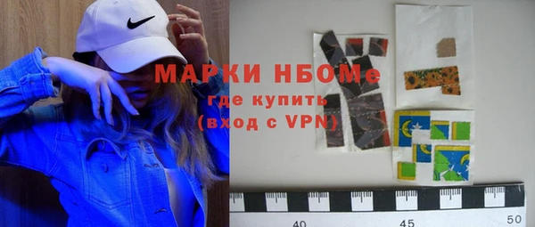 индика Елабуга