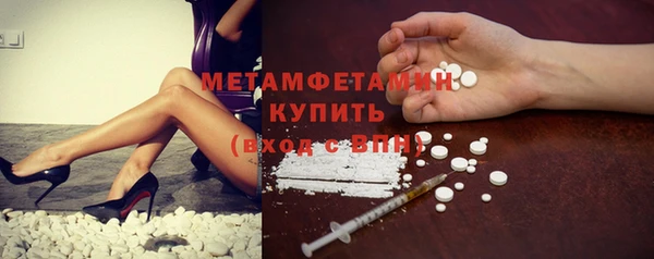 индика Елабуга