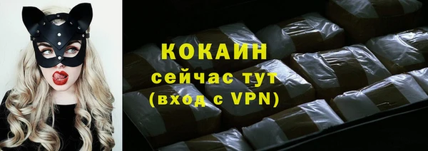 индика Елабуга