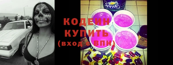 мет Елизово