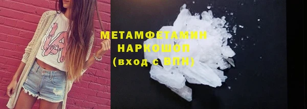 индика Елабуга