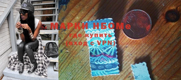 индика Елабуга
