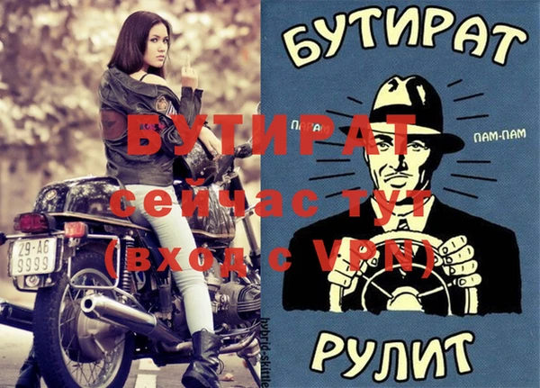индика Елабуга