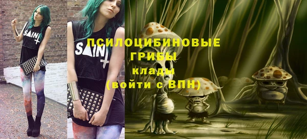 мет Елизово