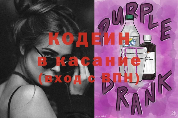 индика Елабуга
