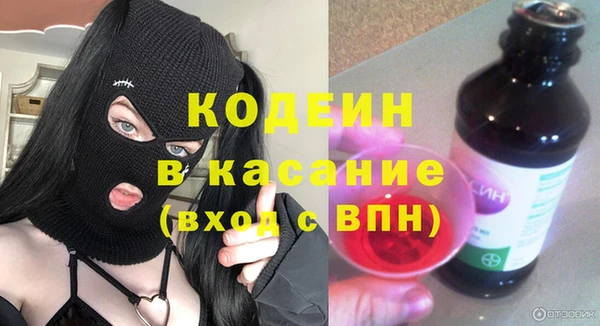 индика Елабуга