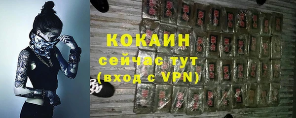 jwh Ельня