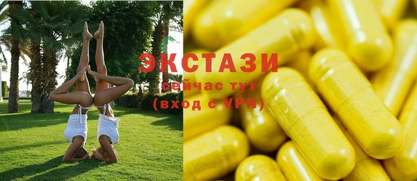 индика Елабуга