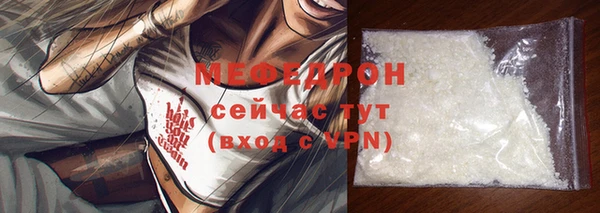 индика Елабуга