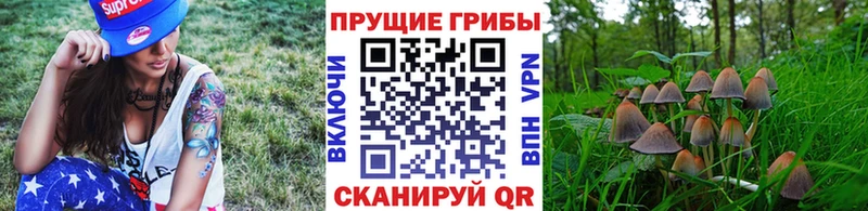 Купить закладки  Боготол  Псилоцибиновые грибы GOLDEN TEACHER 